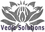 Vedic Solutions